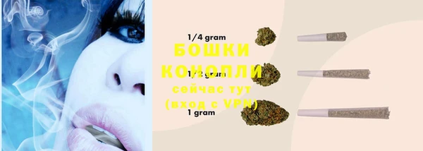 крисы Новозыбков