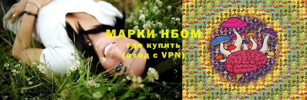 трава Новокубанск