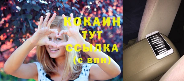 стаф Новодвинск