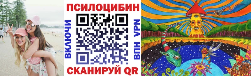 Псилоцибиновые грибы Cubensis  Купить  Сухиничи 